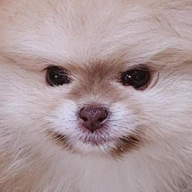 Sunhyeok Choe avatar